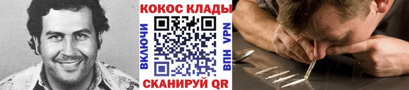 COCAIN Fish Scale  Каргат 