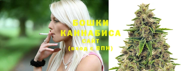 индика Семёнов