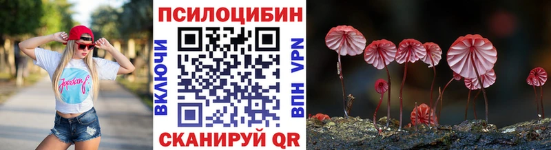 кракен онион  Каргат  Псилоцибиновые грибы GOLDEN TEACHER 